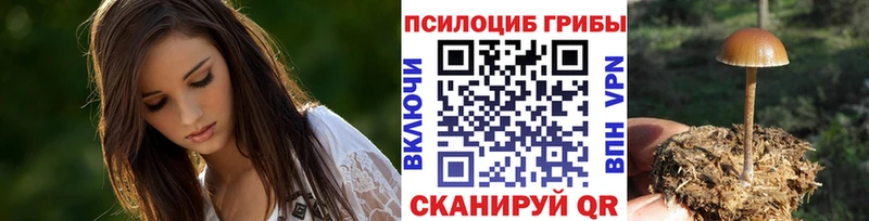 Псилоцибиновые грибы Psilocybine cubensis  Сызрань 