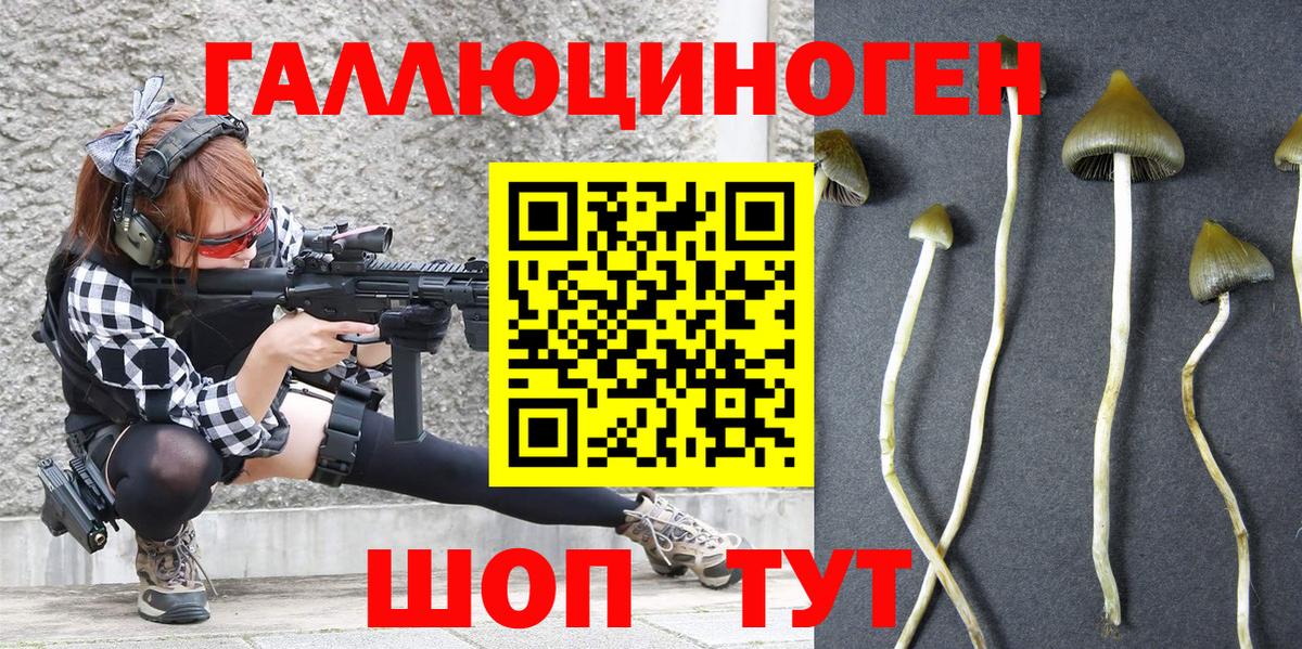 Псилоцибиновые грибы мухоморы  Вход с VPN  Псилоцибиновые грибы MAGIC MUSHROOMS  Сызрань 